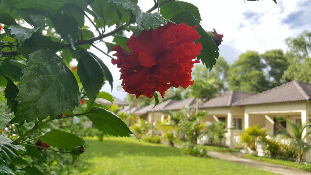 The Moonflower Bungalow Hotel Sihanoukville Bagian luar foto